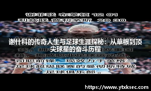 谢什科的传奇人生与足球生涯探秘：从草根到顶尖球星的奋斗历程