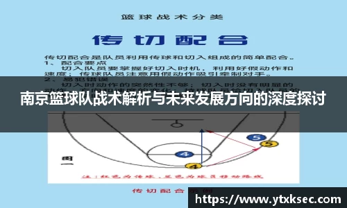 南京篮球队战术解析与未来发展方向的深度探讨