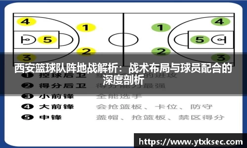 西安篮球队阵地战解析：战术布局与球员配合的深度剖析